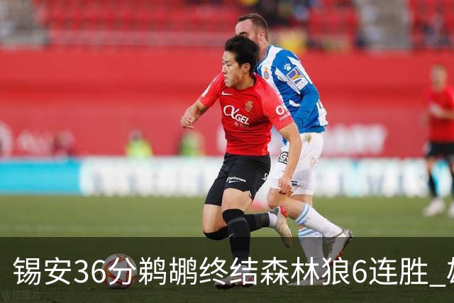 锡安36分鹈鹕终结森林狼6连胜 雄鹿险胜公牛